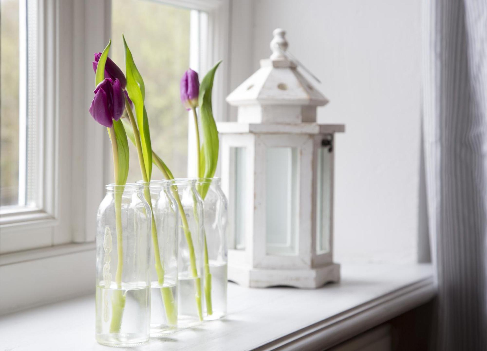 Ferienhaeuser Im Sylter Gartenweg Apartment Sylt